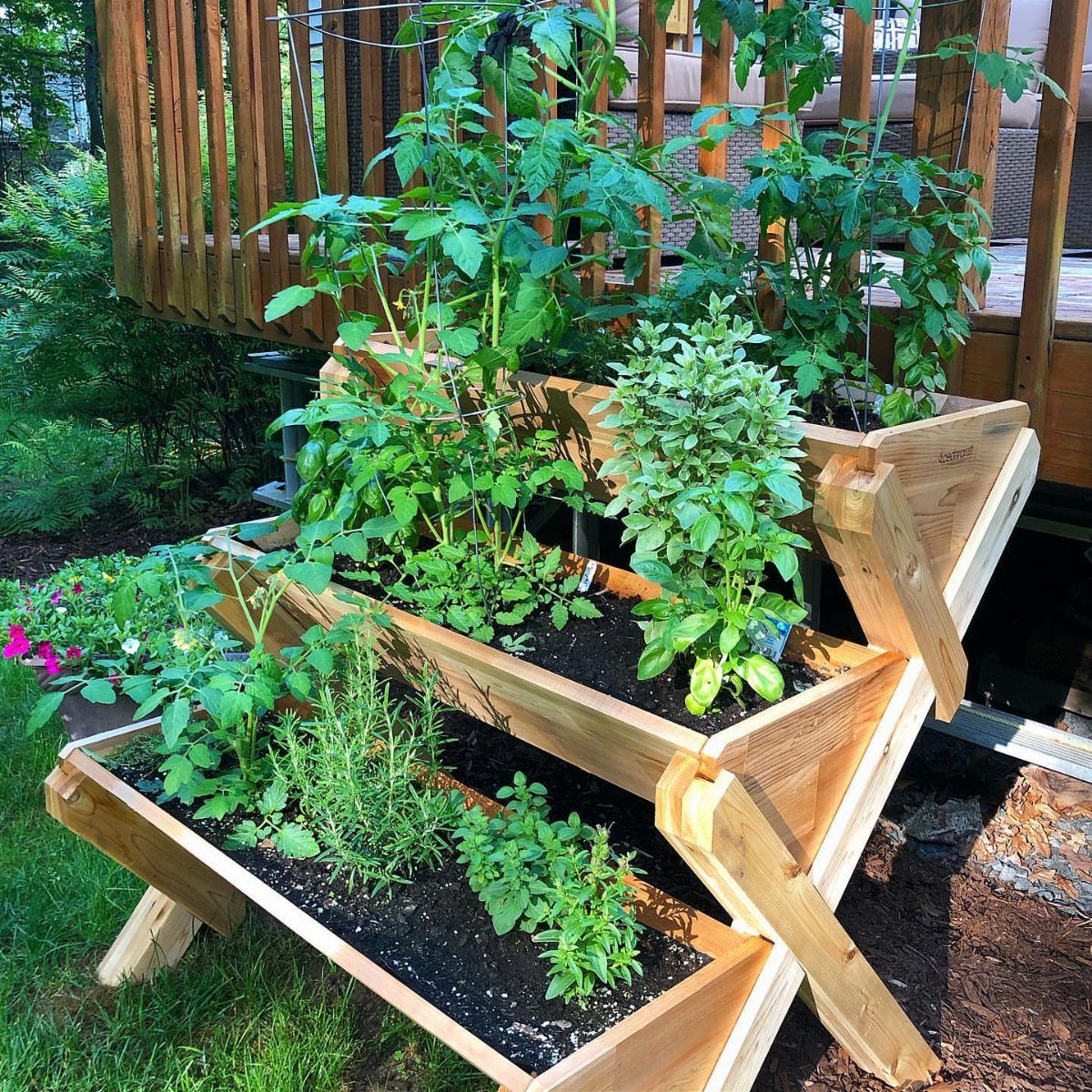 2 Tier Planter Boxes: 3 Ideas for Small Patios and Yards 2 Three-tier wooden garden box filled with tomato plants and herbs outdoors near a deck.