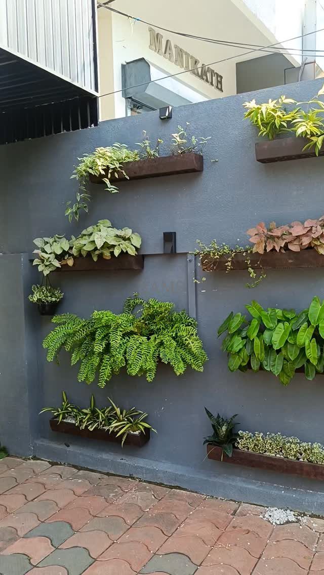 23 Backyard DIY Ideas for a Patio, Garden and Fire Pit 4 Wooden plant holders mounted on a grey wall with various green foliage