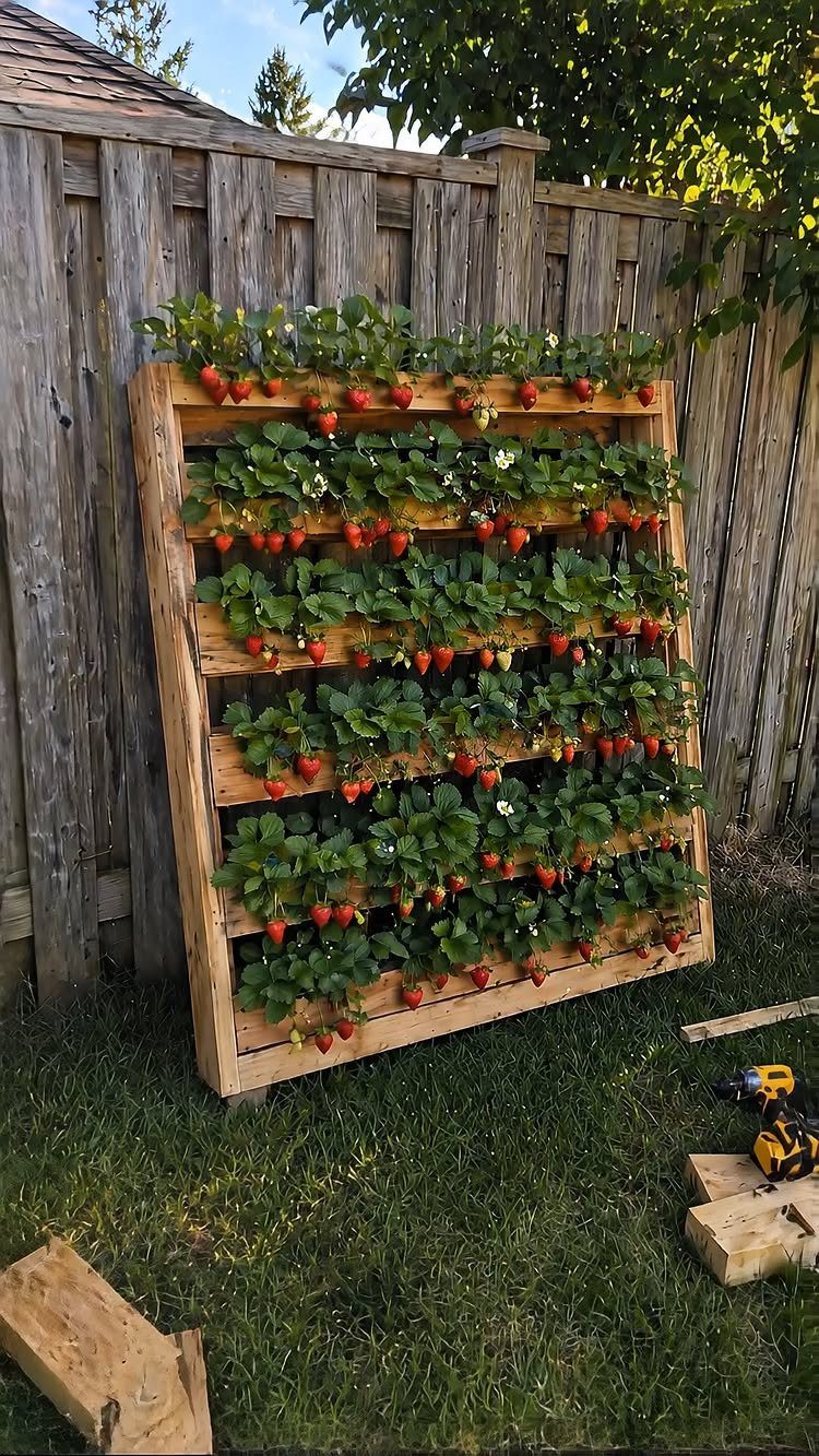 23 Backyard DIY Ideas for a Patio, Garden and Fire Pit 3 Vertical garden planter made of wooden pallets growing red strawberries against a fence.