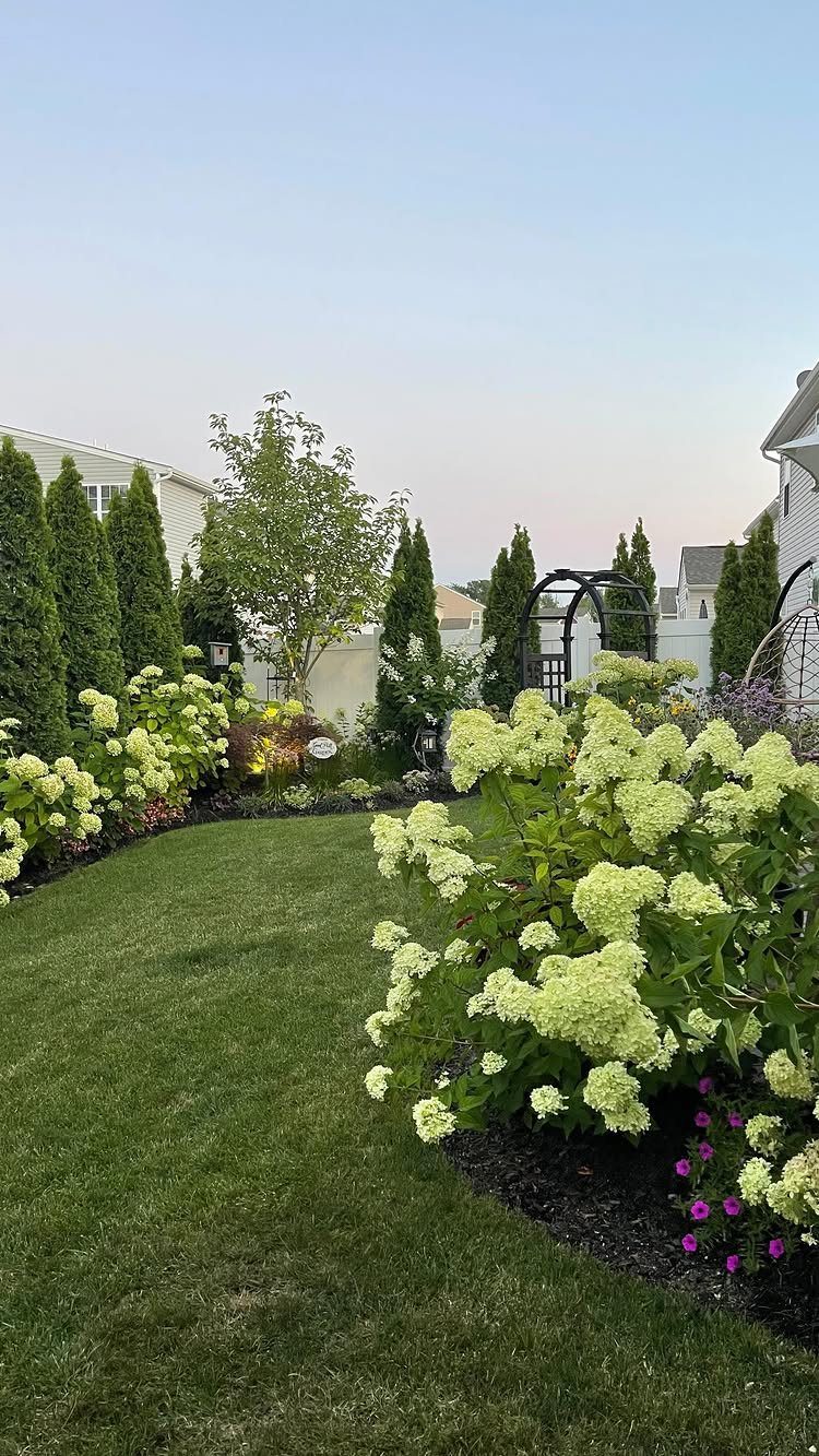 10 Backyard Fence Landscaping Ideas for Beautiful Borders 1 Curved garden bed with white hydrangeas and tall conical evergreens along a white fence.