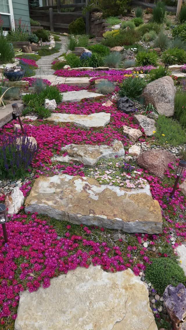 Stone garden path with repeating bright pink flowers and green shrubs in a backyard.