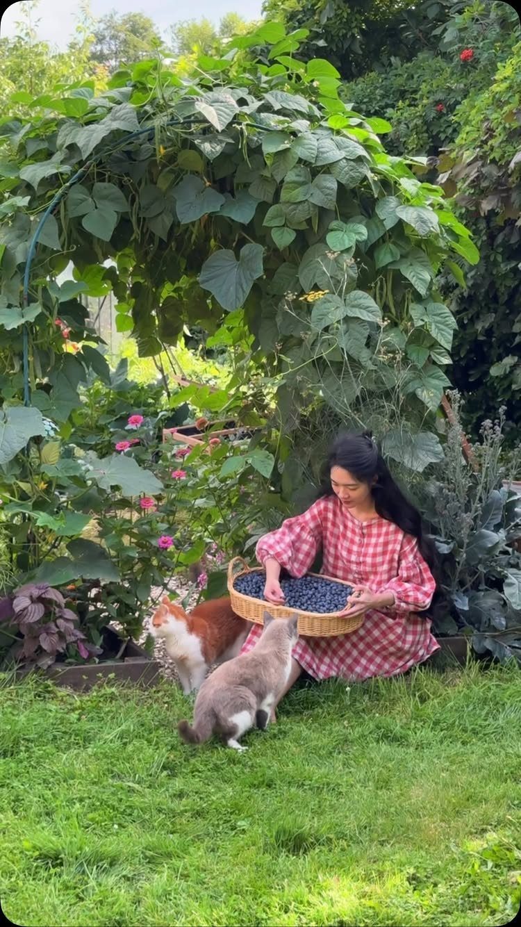 Woman in checkered dress with blueberries under a bean trellis in a garden.
