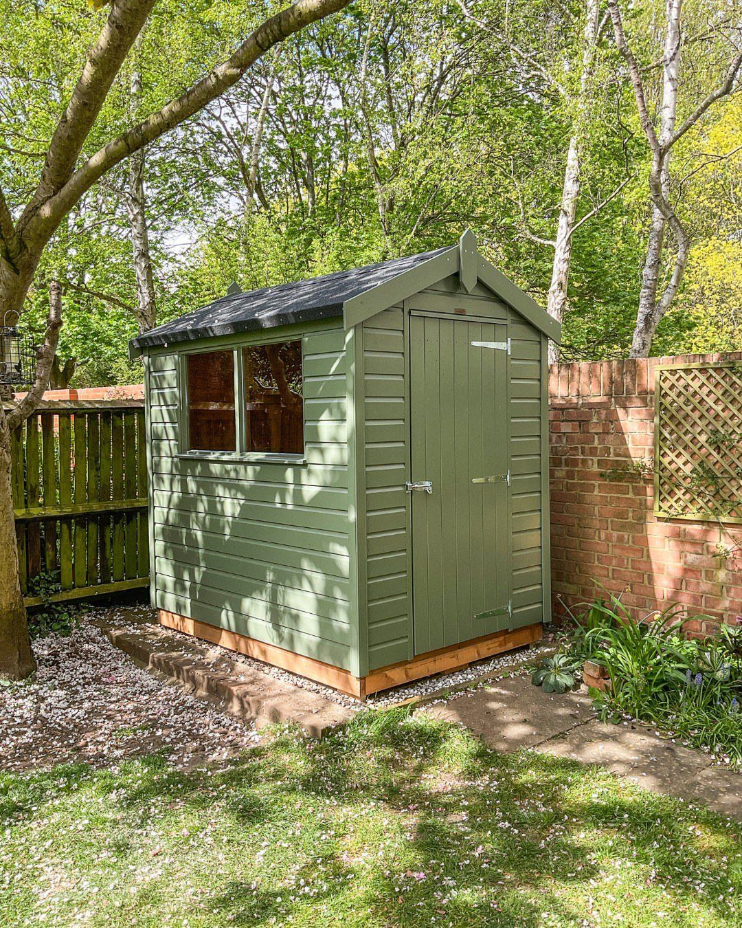 Green wooden garden shed standing in a backyard with grass and trees.