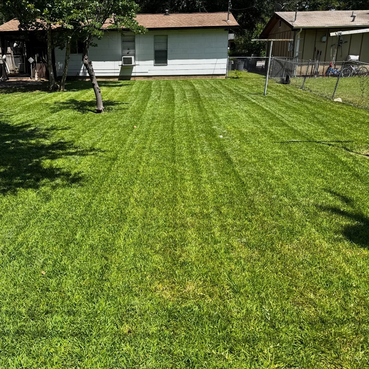 Freshly mowed green lawn with stripes in a residential backyard setting.
