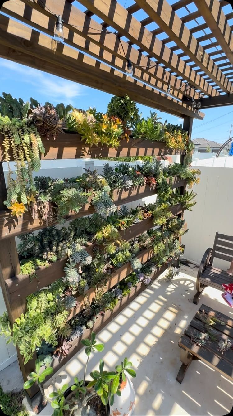 14 Cheap Garden Makeover Ideas to Refresh Your Yard 14 Vertical garden wall of succulents built into a wooden pallet under a pergola.