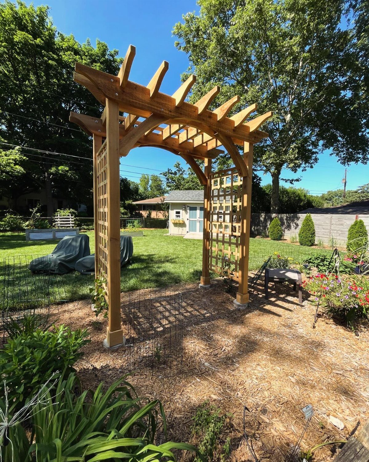 Wooden pergola with lattice sides standing in a mulched garden area.