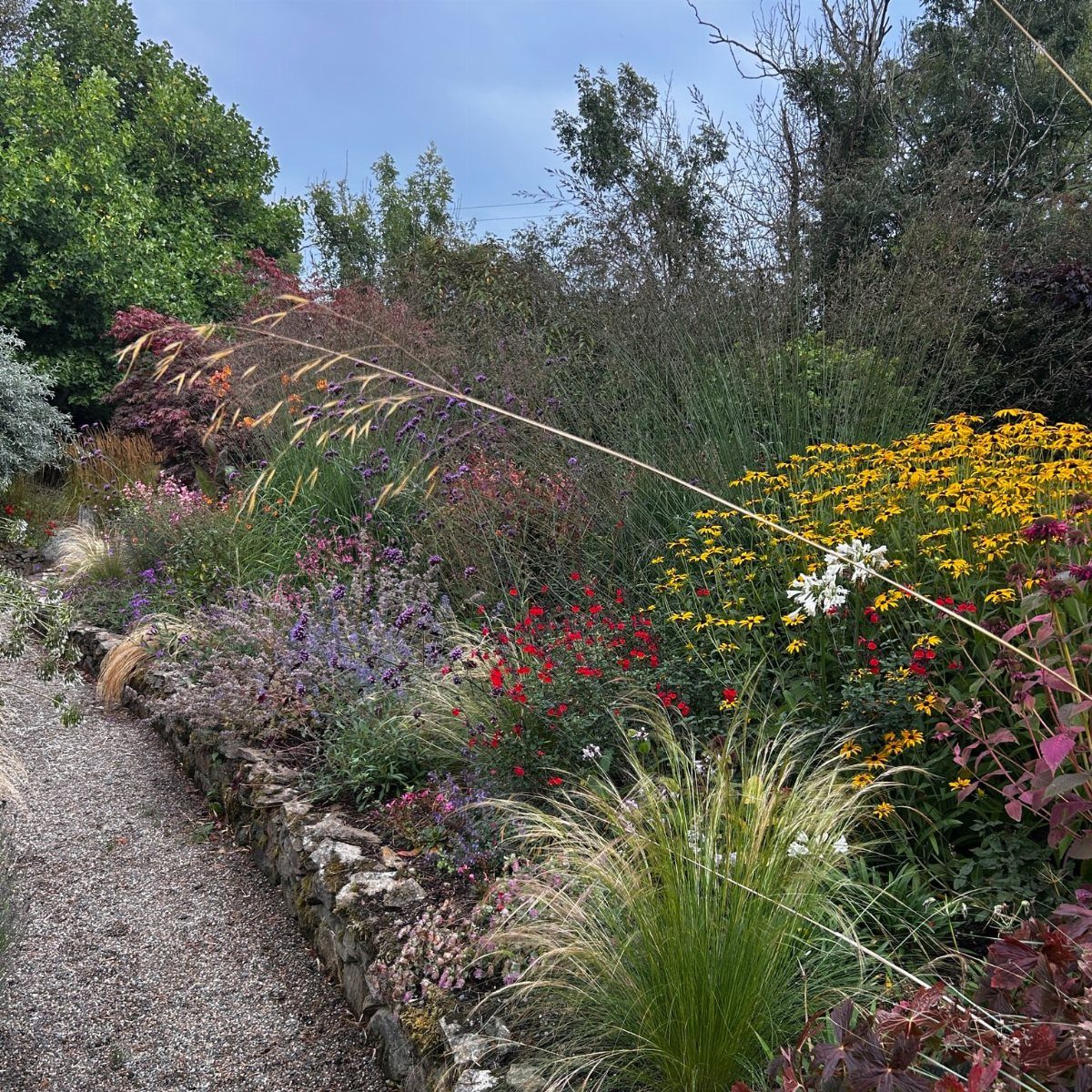 Ornamental grasses and colorful flowers lining a gravel path with a stone border.