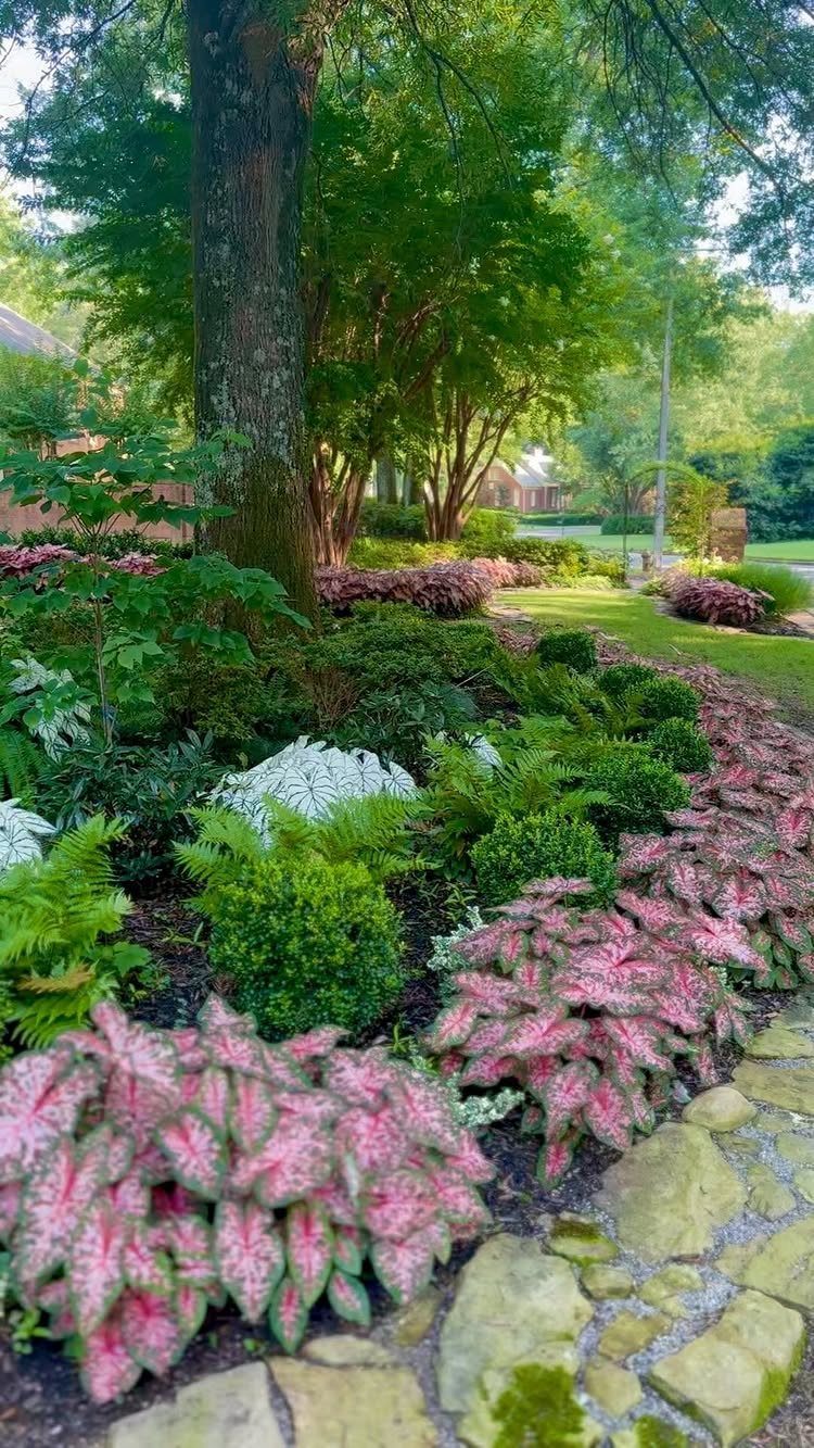 Shade garden with pink coleus, ferns, and hostas under large green trees.