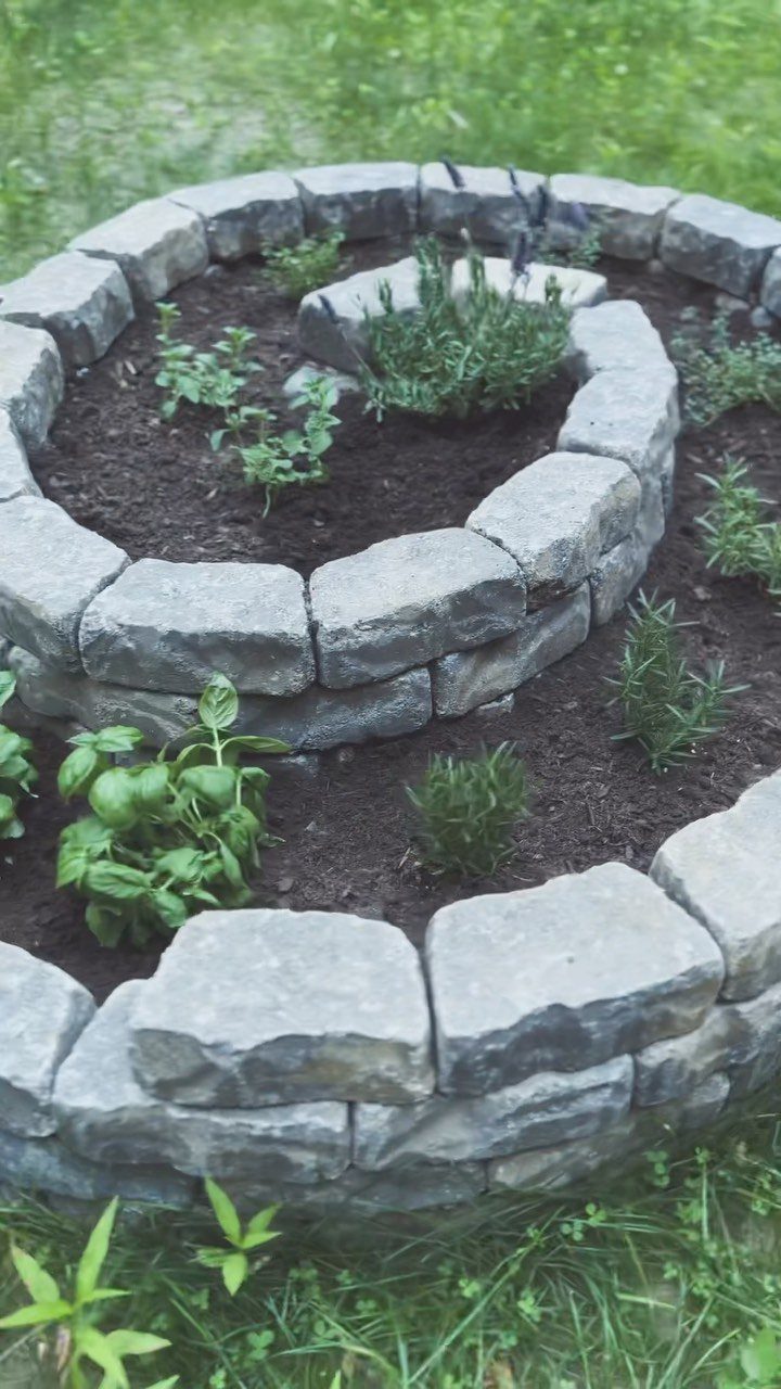 Spiral raised garden bed made of grey stones with various green herbs planted inside.