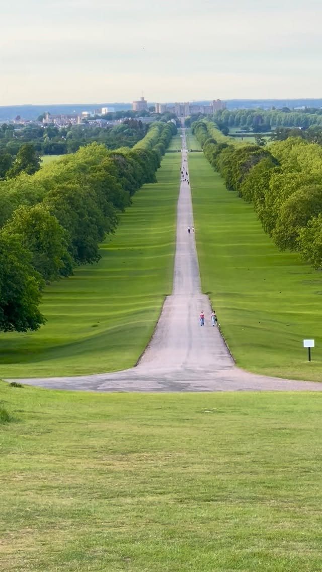 Long paved path leading to a grand estate building through manicured gardens and trees.