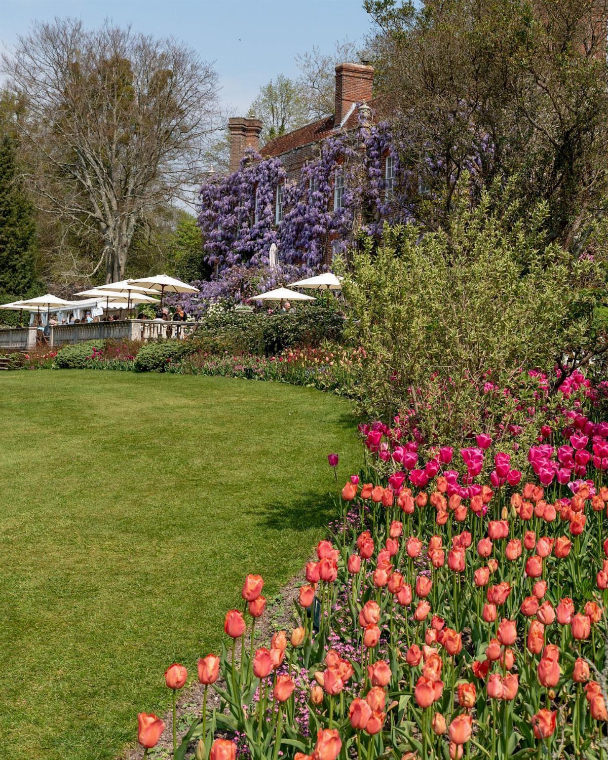 English country estate garden with red tulips, green lawn, and wisteria-covered brick house.