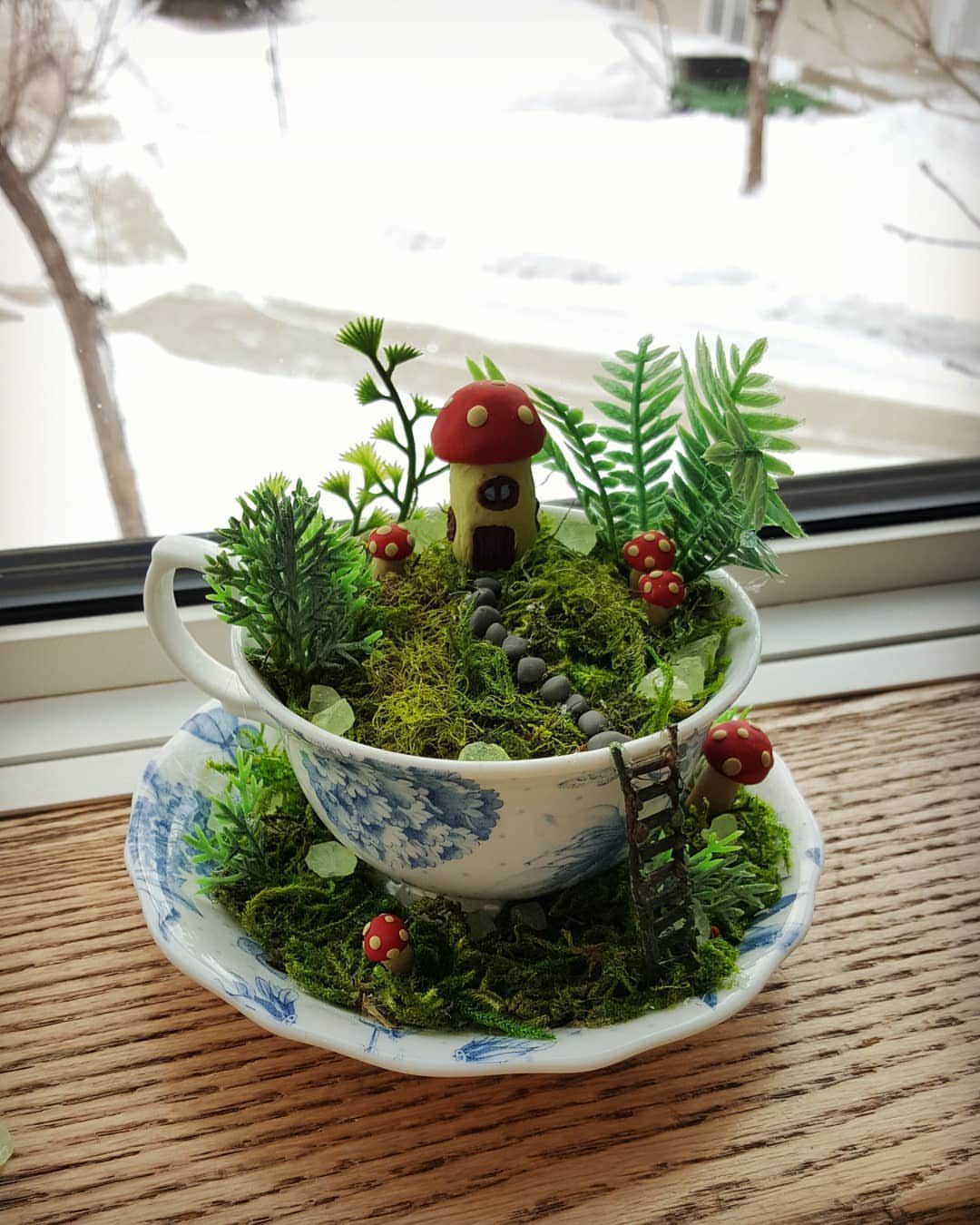 Miniature fairy garden with a mushroom house inside a blue and white teacup.