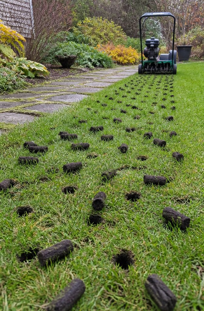 Fall Yard Maintenance: A Practical Guide to Lawn and Garden 4 Dark soil plugs across green grass with a walk-behind core aerator