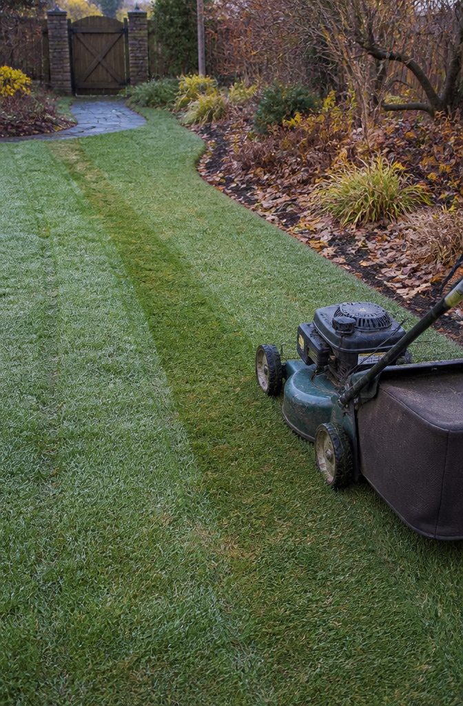 Fall Yard Maintenance: A Practical Guide to Lawn and Garden 2 Lawn mower on grass beside a shorter cut strip and fallen leaves