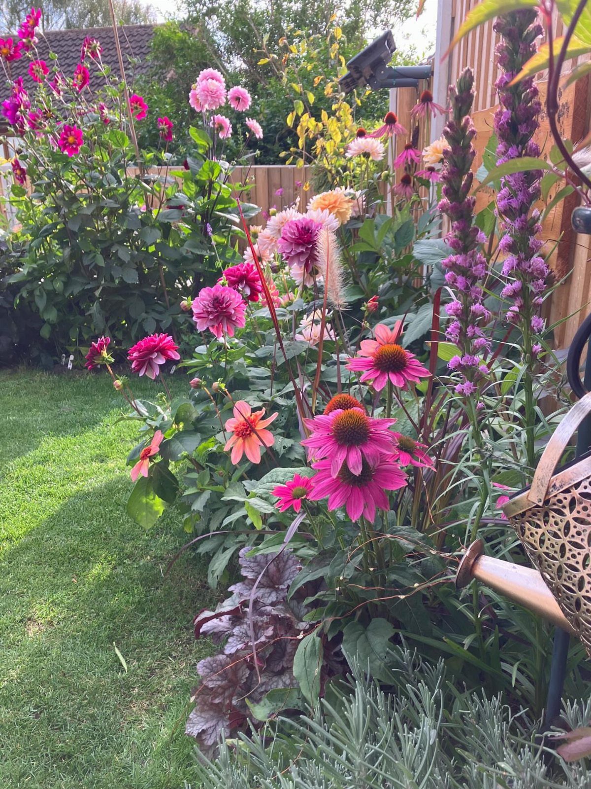 Colorful flower bed with pink and purple blooms along a wooden garden fence.