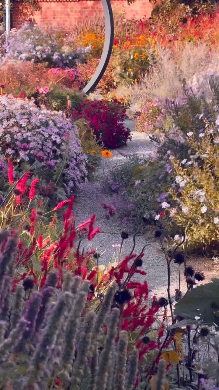 Winding gravel path through a dense, colorful naturalistic flower bed with various blooms.