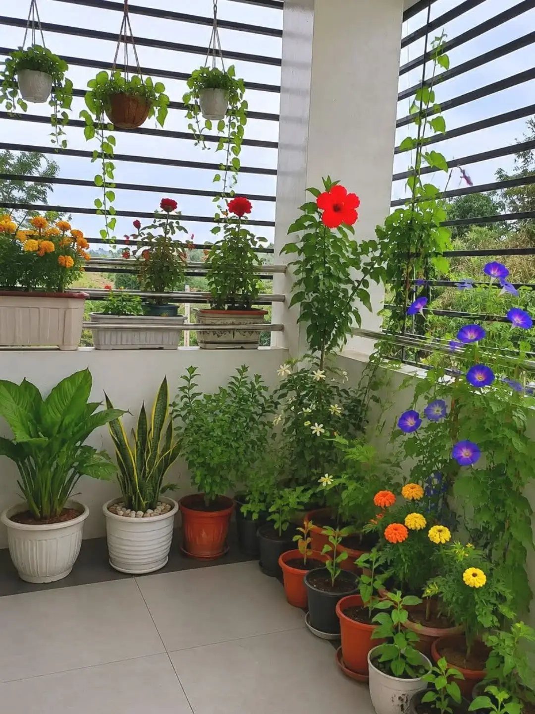 Potted flowers and greenery arranged on a tiled balcony with hanging planters.
