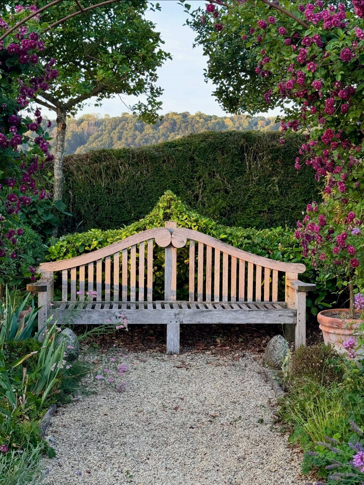 Wooden garden bench at the end of a gravel path surrounded by purple flowers