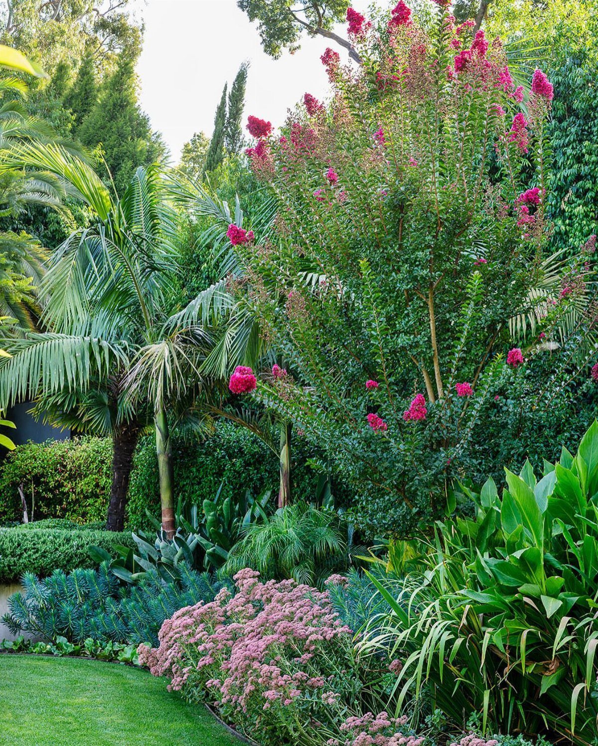 Lush garden with pink flowering shrubs, palm trees, and a tall pink blossom tree.