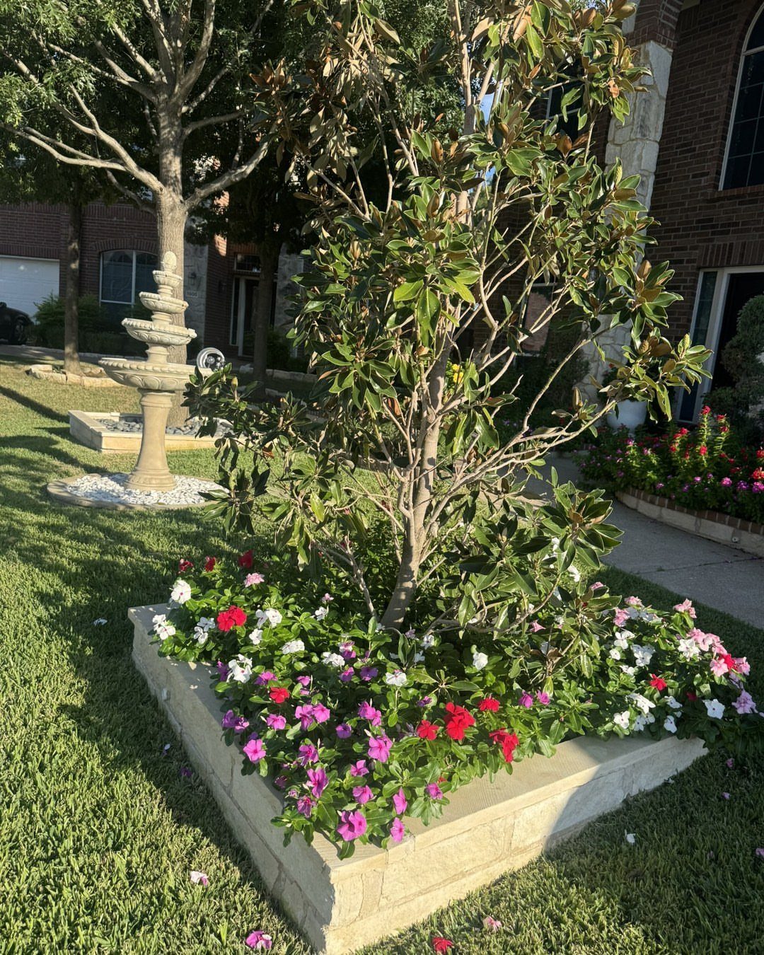 Small tree growing in a raised stone bed filled with colorful flowers on a lawn.