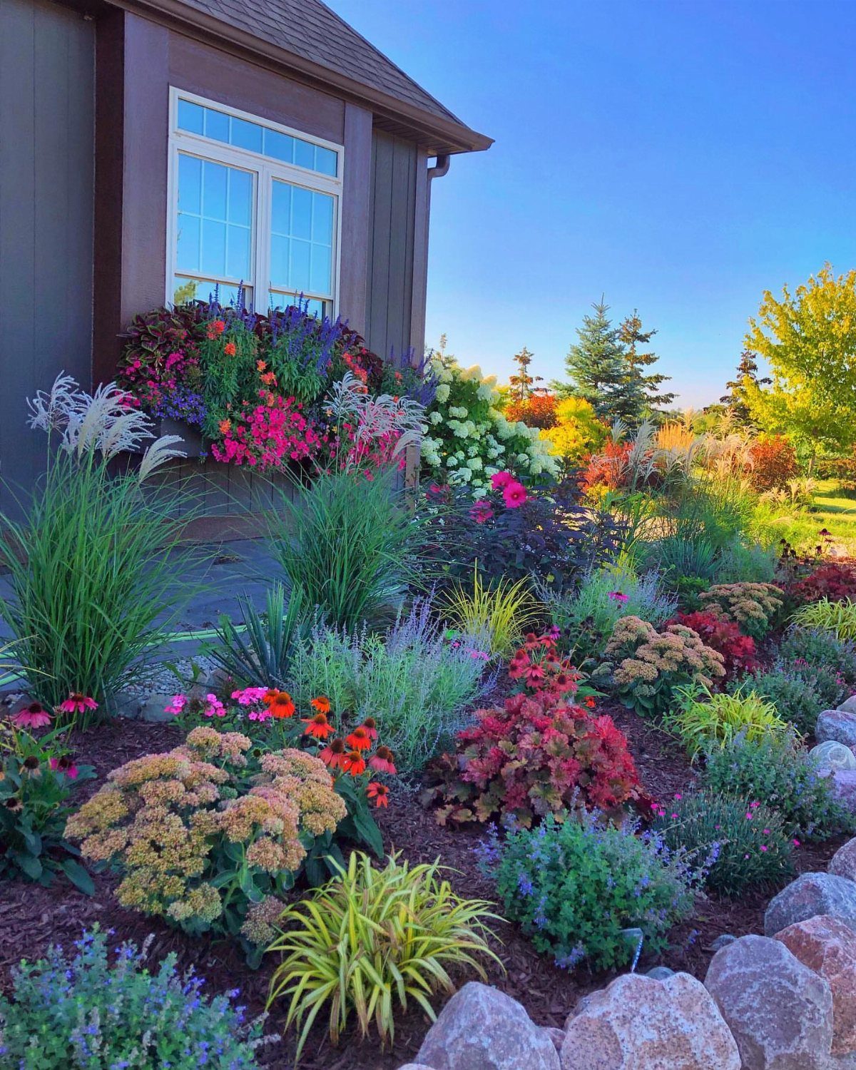 Colorful flower beds with red, purple, and yellow plants beside a brown house.