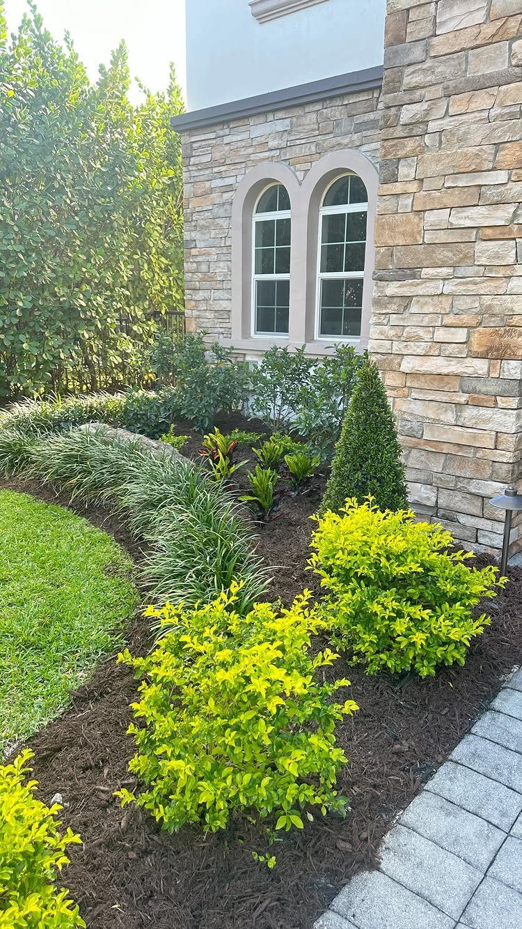 Landscaped garden bed with dark brown mulch, lime-green shrubs, and ornamental grasses beside stone house.