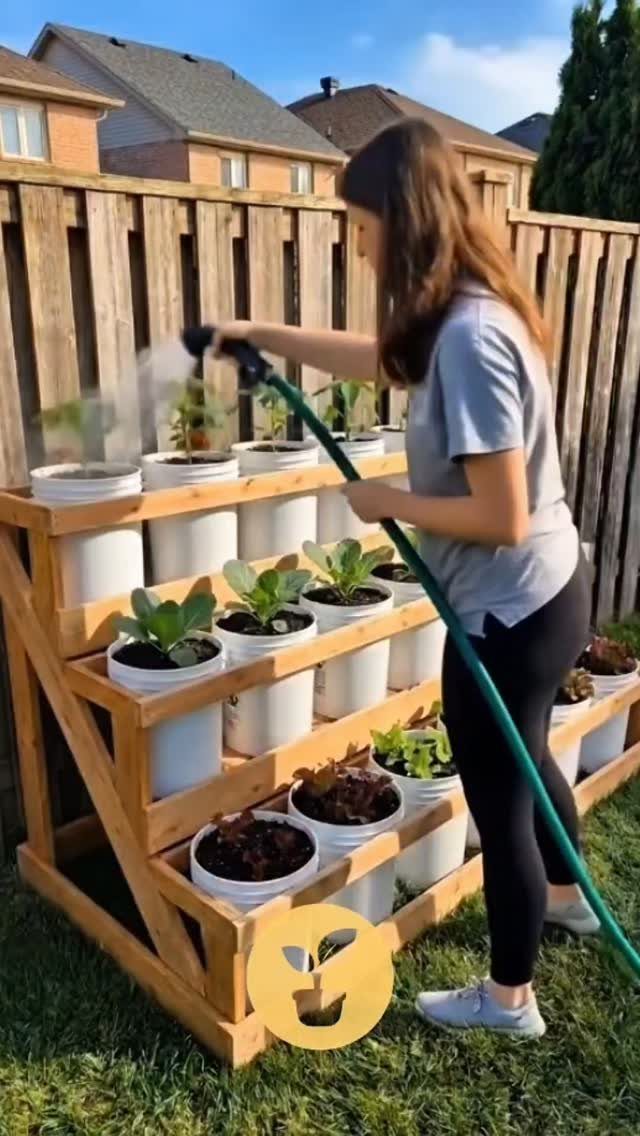 Woman watering plants in white buckets on a tiered wooden garden shelf.