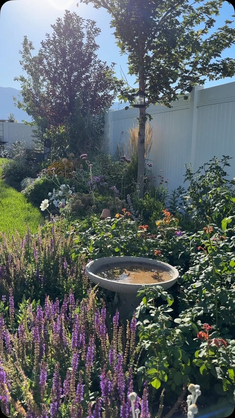 Lush cottage garden with purple salvia, red roses, and a stone birdbath.