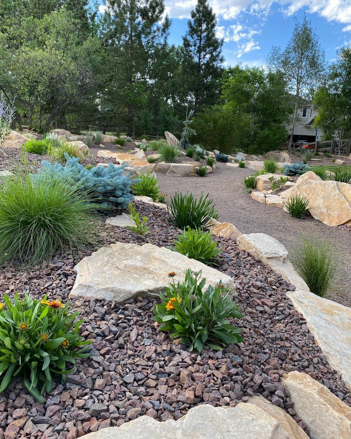 Gravel path with large boulders and drought-tolerant plants in a grassless garden.