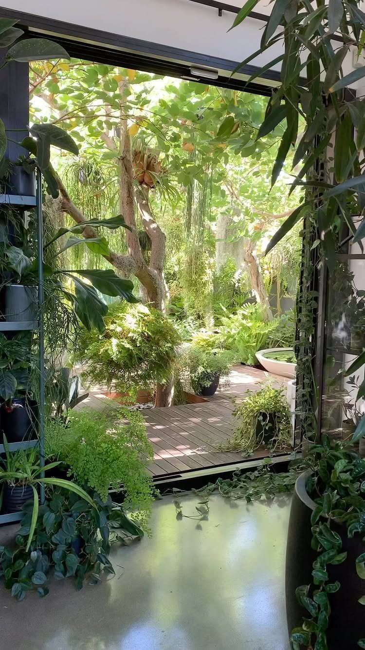 Lush garden viewed through open glass doors from a modern interior room.