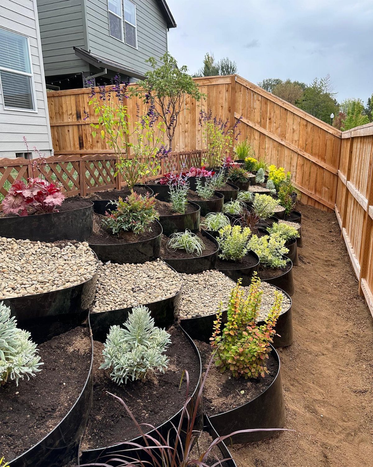 Tiered black circular planters with various plants and gravel on a sloping garden.