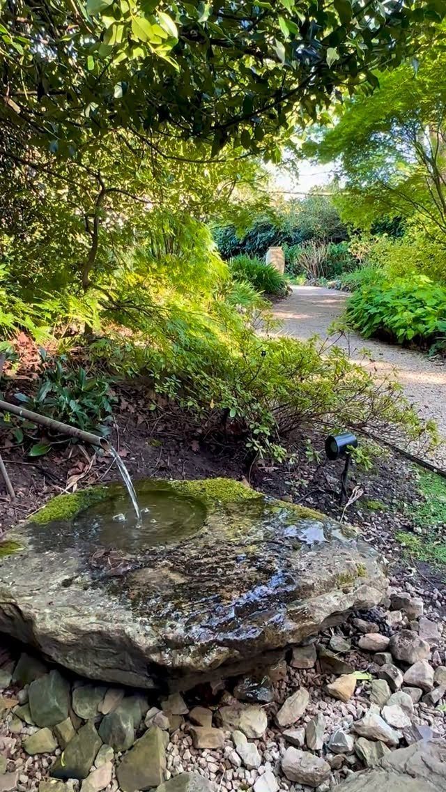 Water pouring into a stone basin in a lush green garden with a path.