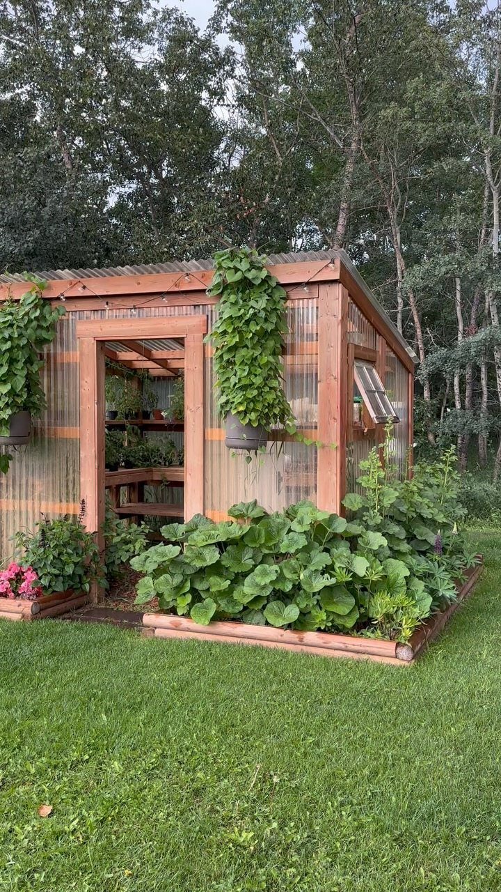 Wooden frame greenhouse with translucent panels and a raised garden bed in front.