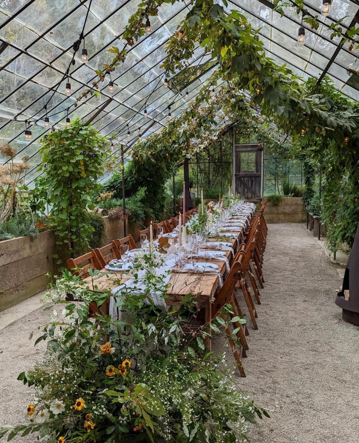 Long wooden dining table set for guests inside a lush glass greenhouse.