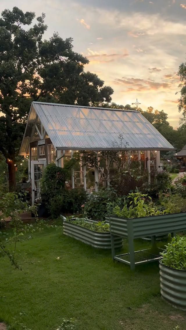 Glass greenhouse shed with string lights and raised garden beds in a lush yard.