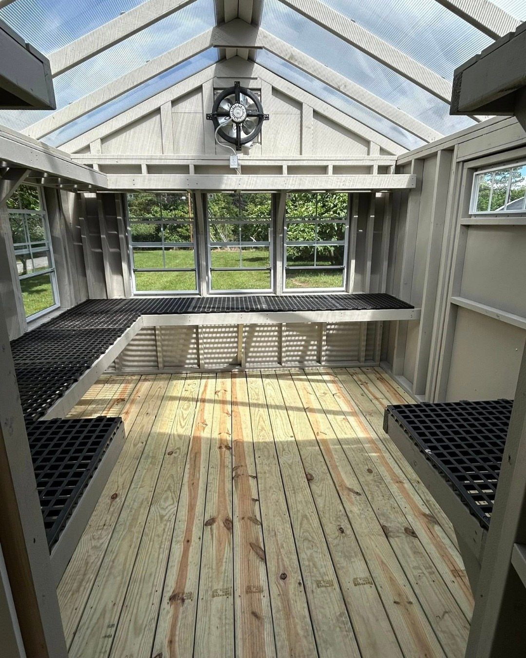 Greenhouse shed interior with wooden floors, black potting benches, and large windows.