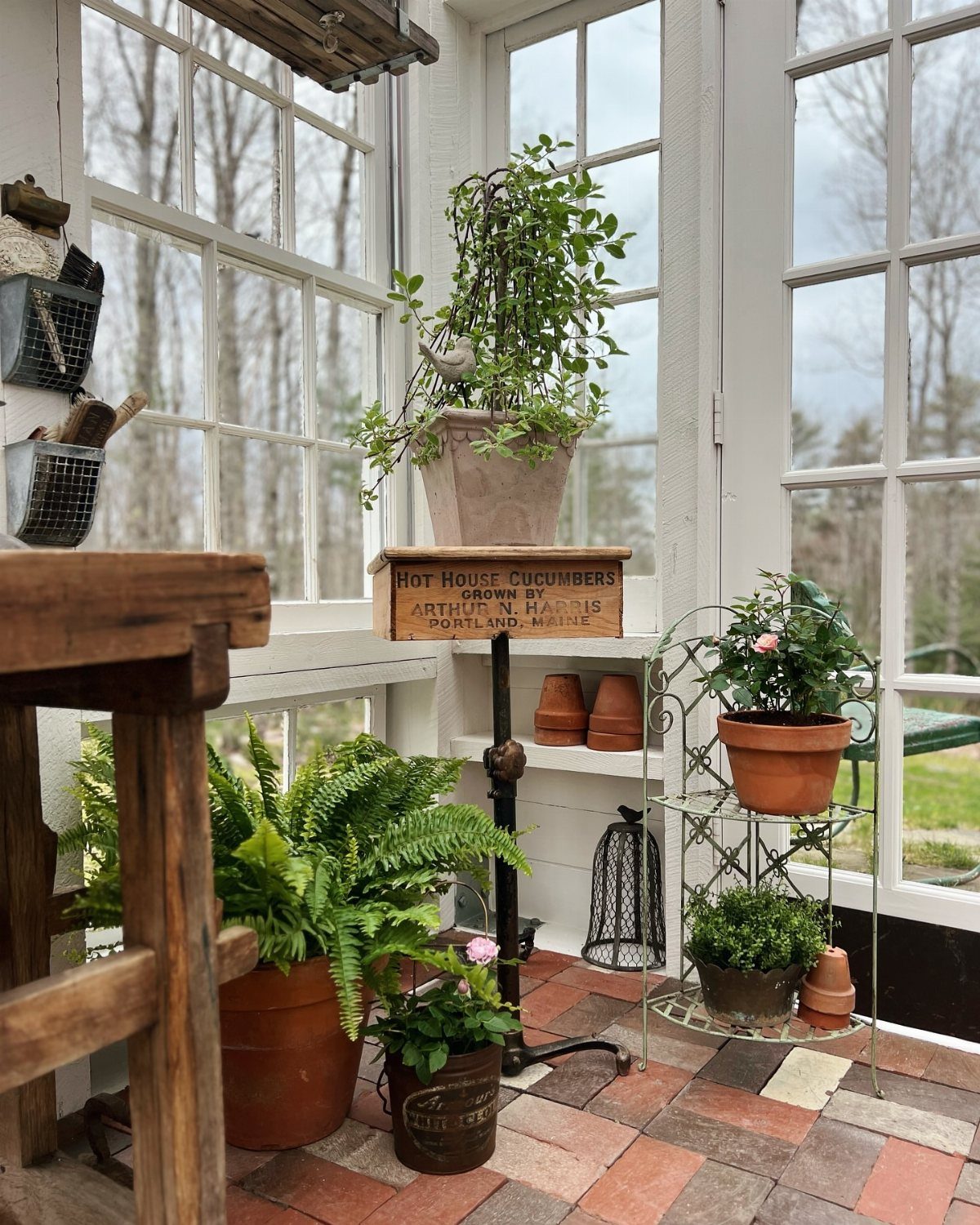 Interior of a bright potting shed with plants, terracotta pots, and wooden workbench.
