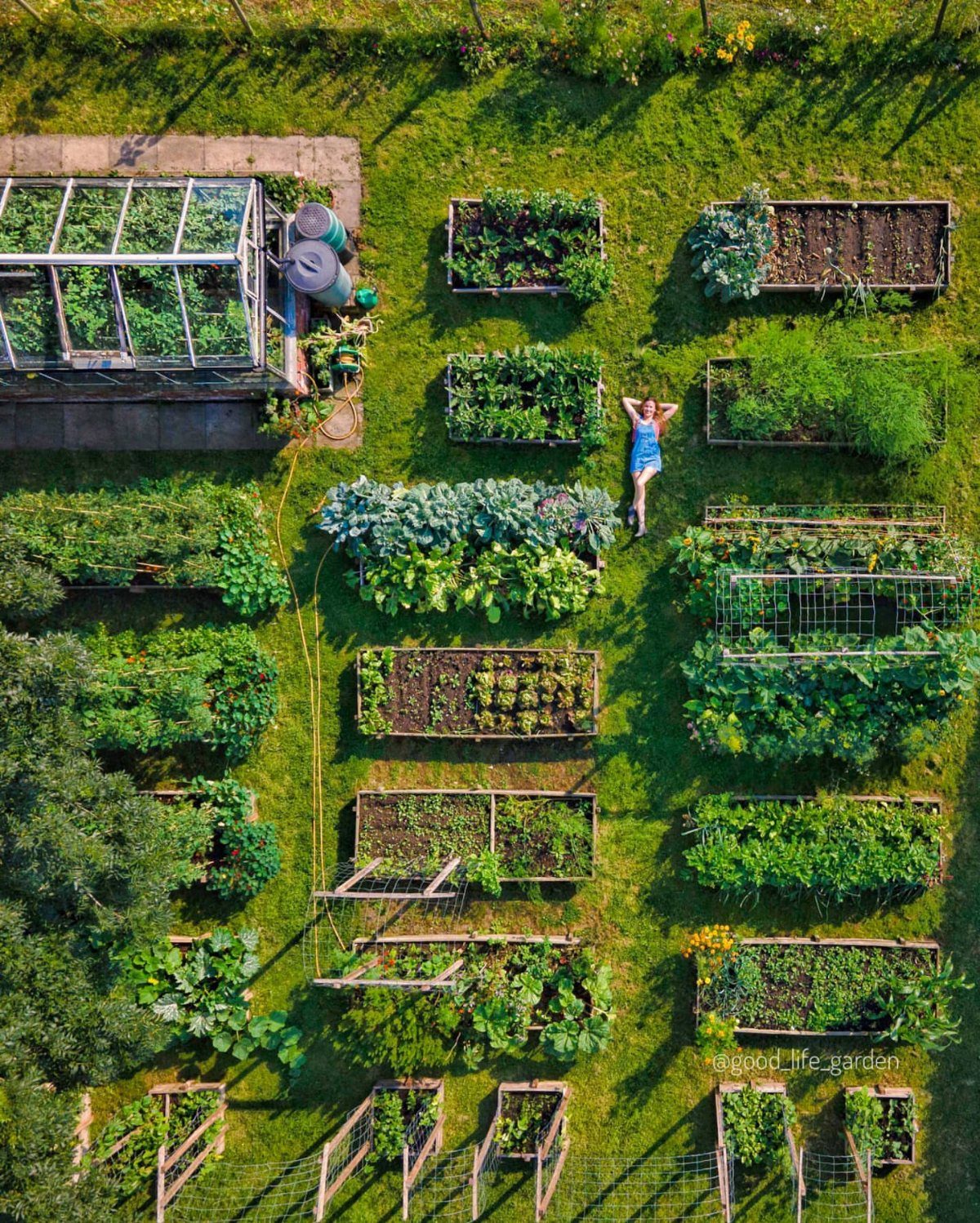 Wooden raised garden beds and a glass greenhouse in a lush green backyard.