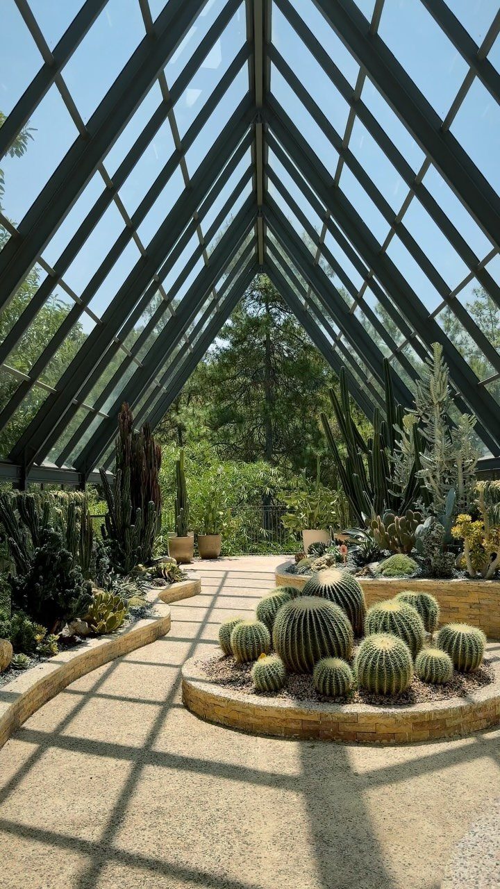 Green House Layout: 17 Ideas for Benches, Beds and Lighting 15 Cacti and succulents in curved stone beds inside a glass peaked roof greenhouse.