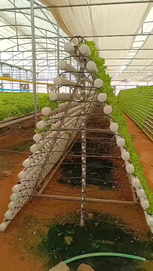 Green House Layout: 17 Ideas for Benches, Beds and Lighting 16 A-frame hydroponic vertical farming system with white pipes and green plants in greenhouse.