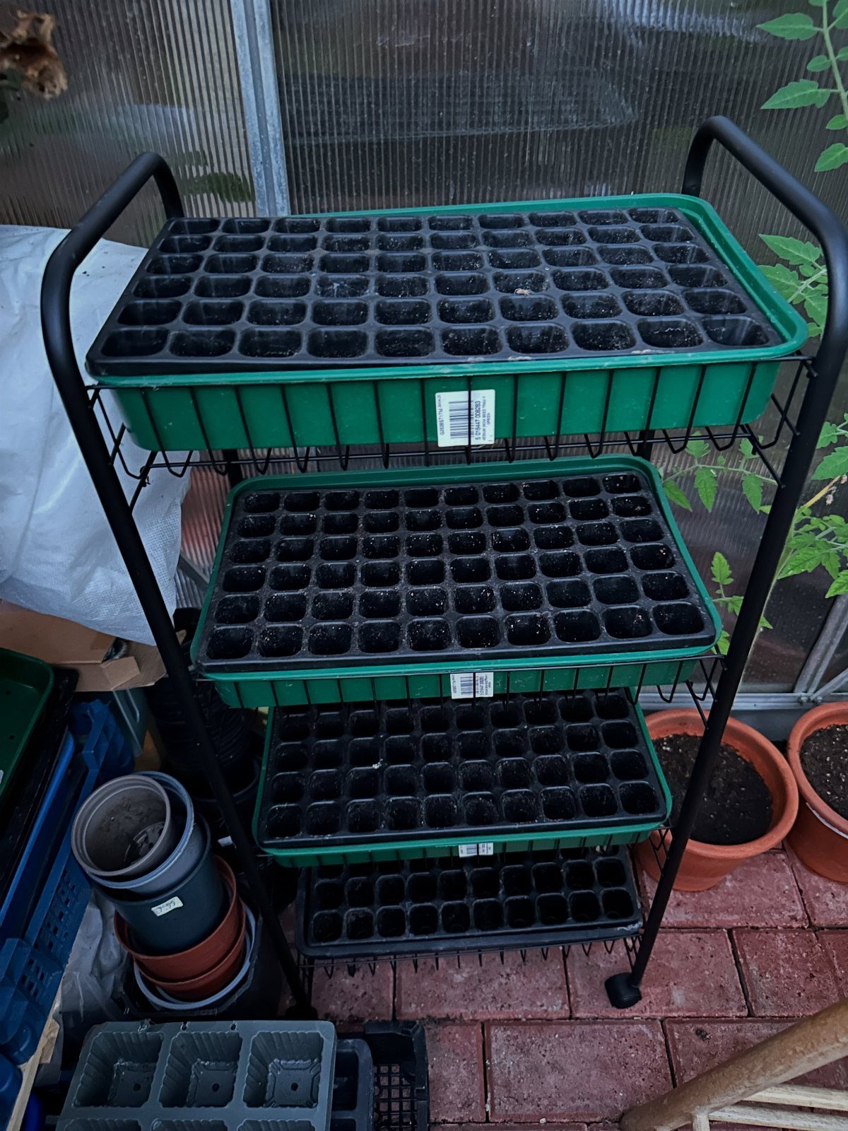 Green House Layout: 17 Ideas for Benches, Beds and Lighting 11 Seed starting trays on a black metal shelf inside a greenhouse.