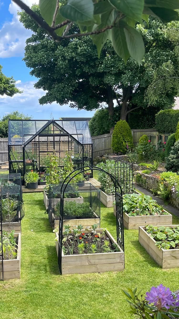 Green House Layout: 17 Ideas for Benches, Beds and Lighting 1 Wooden raised garden beds with plants and metal arches in front of a greenhouse.