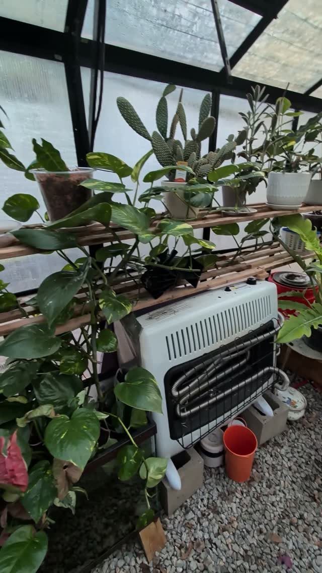 Green House Layout: 17 Ideas for Benches, Beds and Lighting 13 White electric heater positioned under a wooden plant shelf inside a bright greenhouse.