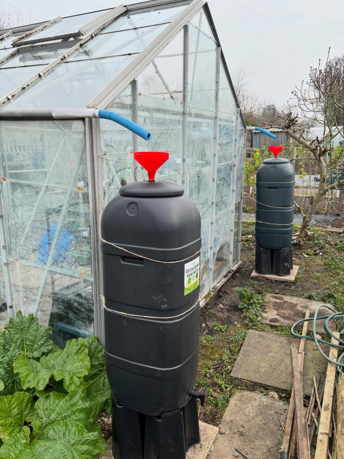 Green House Layout: 17 Ideas for Benches, Beds and Lighting 14 Black plastic water butts collecting rainwater from a glass greenhouse roof via blue pipes.