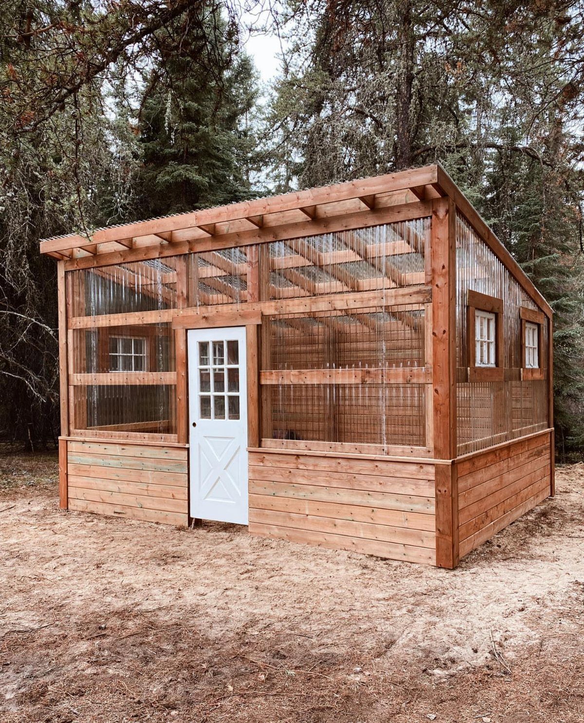 Wooden greenhouse with polycarbonate panels and a white door in a forest setting