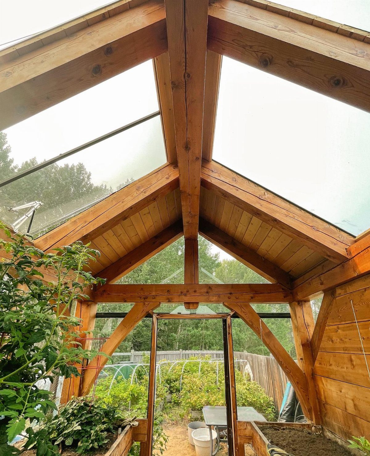 Wooden A-frame greenhouse interior with a peaked roof and green plants inside.