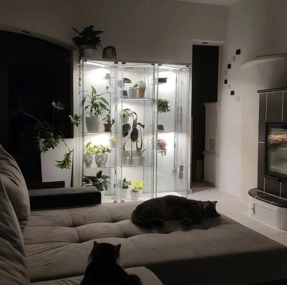 Glass plant cabinet with grow lights and potted greenery in a living room.