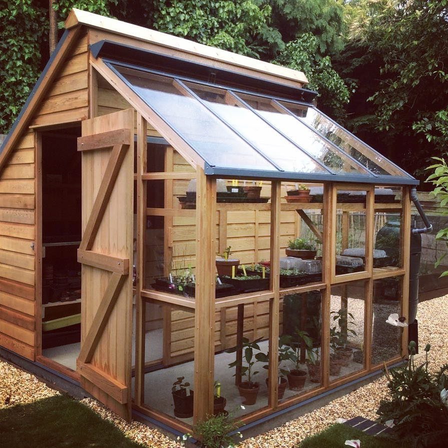 Wooden greenhouse potting shed with glass walls and a slanted roof in a garden.