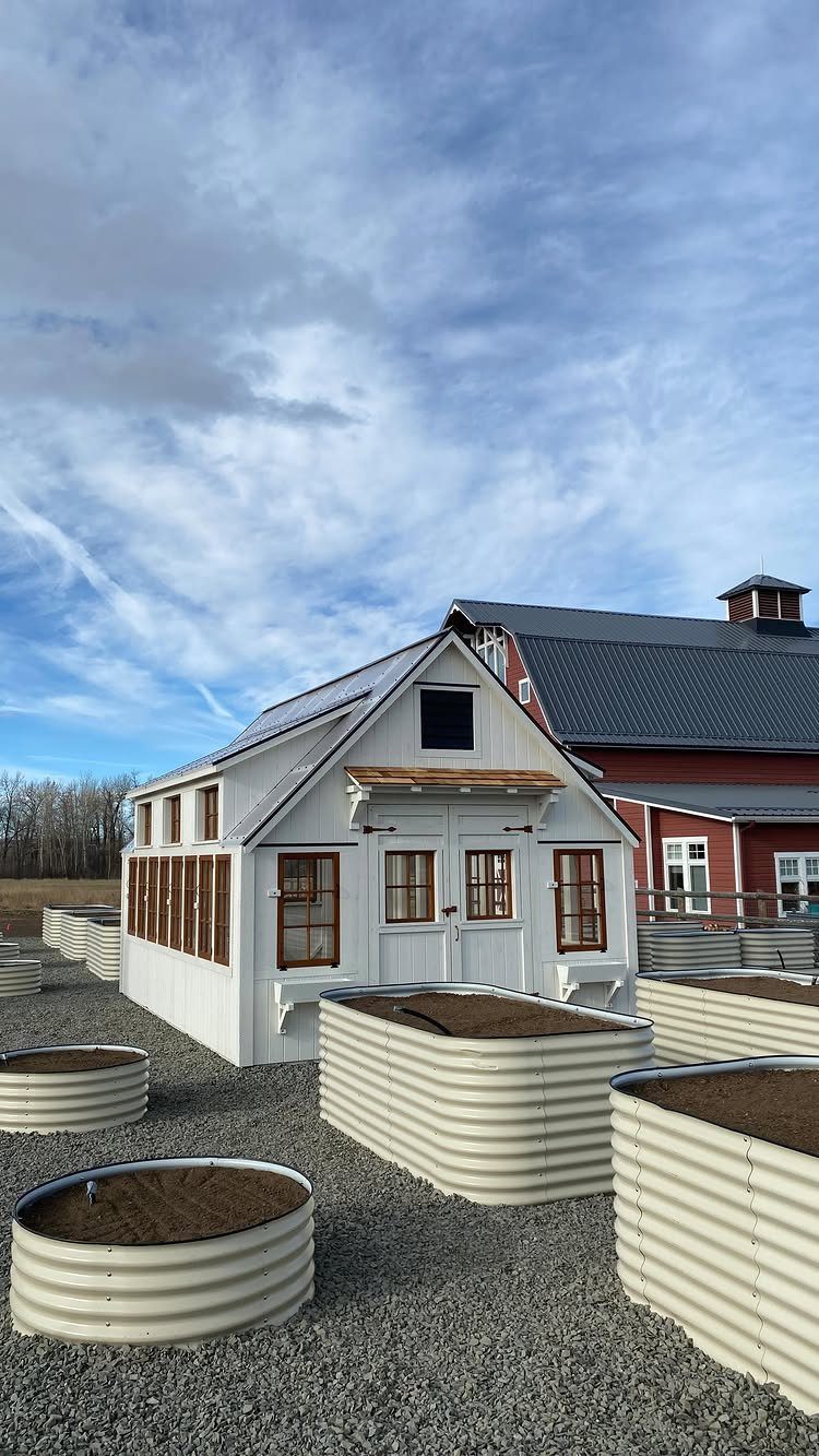 White wooden potting shed with double doors and corrugated metal raised garden beds.