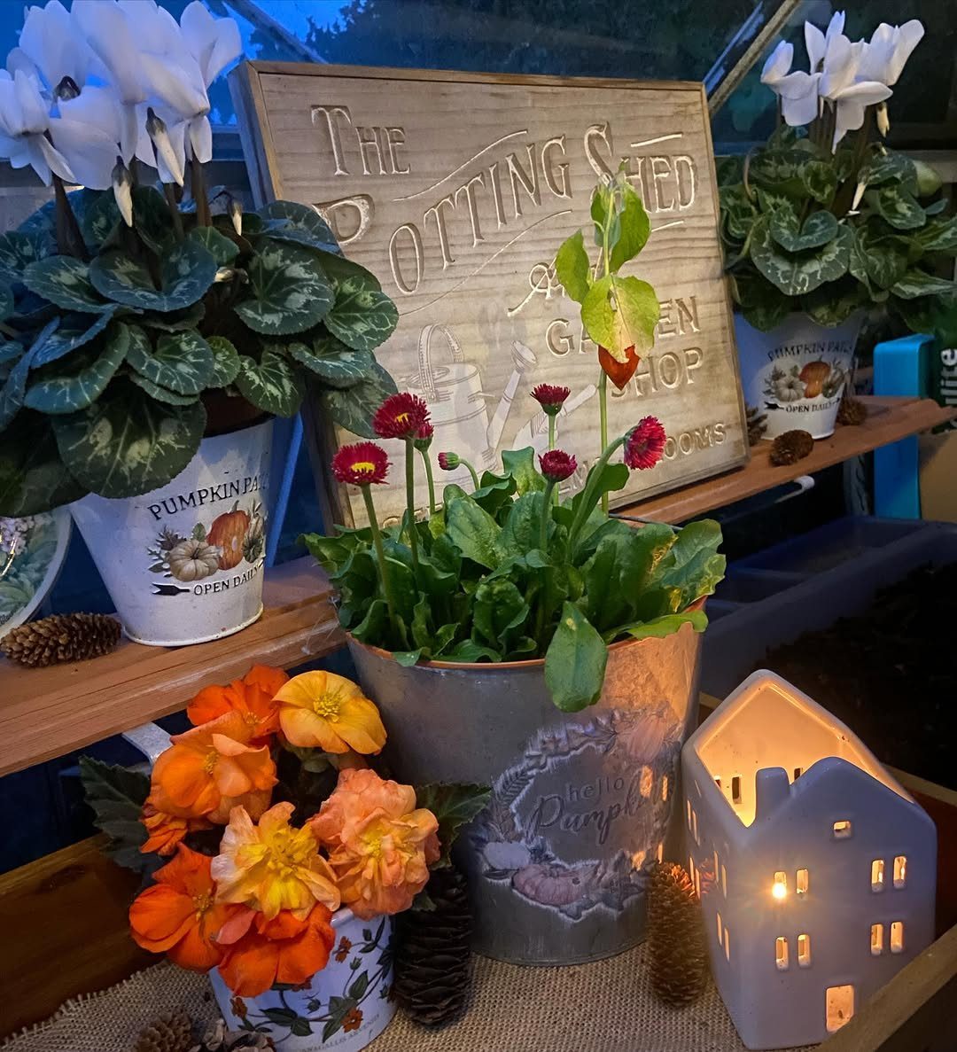 Potted flowers and a decorative wooden sign inside a cozy potting shed interior.